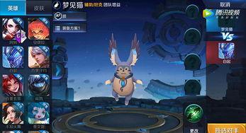 高能英雄最新英雄爆料猫,高能英雄全新神秘英雄猫爆料揭秘